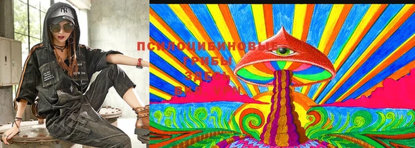 первитин Белокуриха