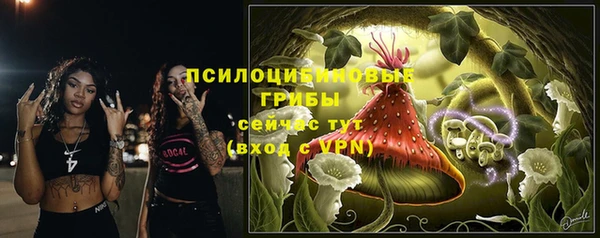 твердый Белоозёрский