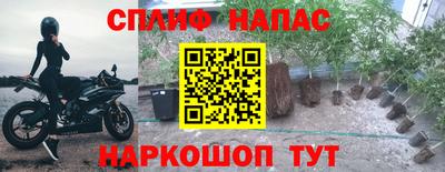 ГАЛЛЮЦИНОГЕННЫЕ ГРИБЫ Нарткала