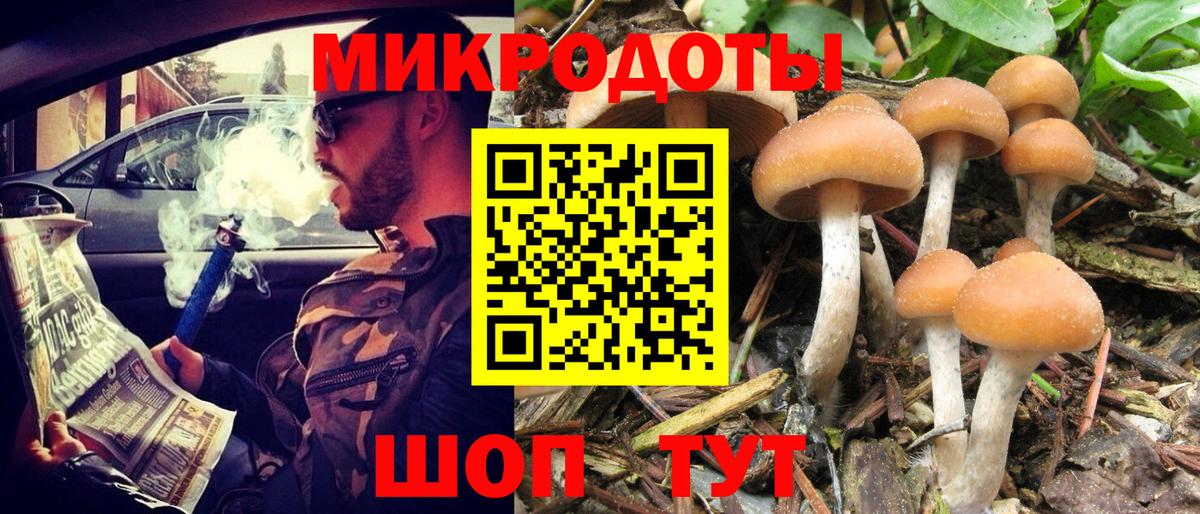 Псилоцибиновые грибы MAGIC MUSHROOMS  Вход с VPN  Дальнегорск  Галлюциногенные грибы прущие грибы 