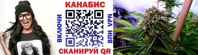 Канабис ГИДРОПОН  где найти наркотики  Дальнегорск 